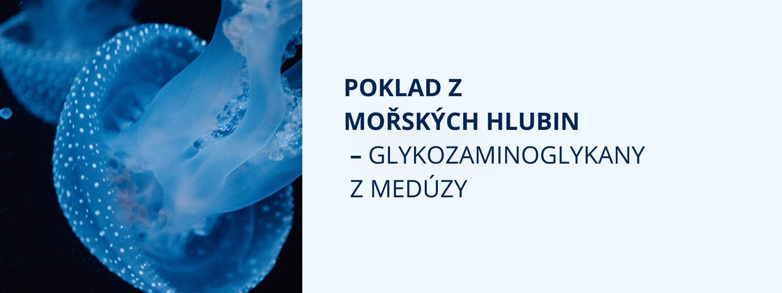 Krem WD3 meduzy